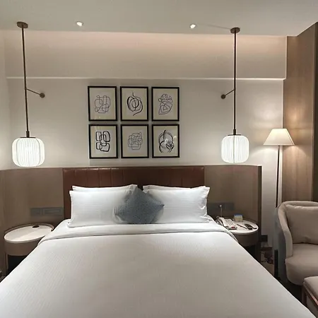 Dolphin Hotel-2